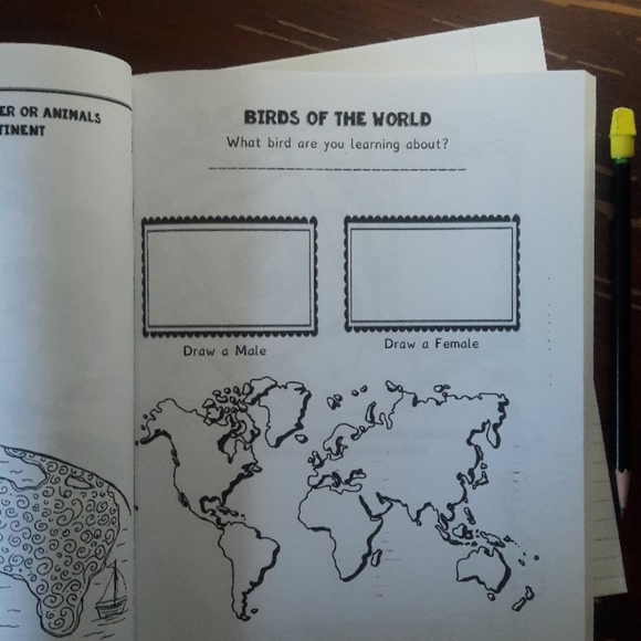 Homeschool Nature Study/Science Journal - Picture 8 of 12
